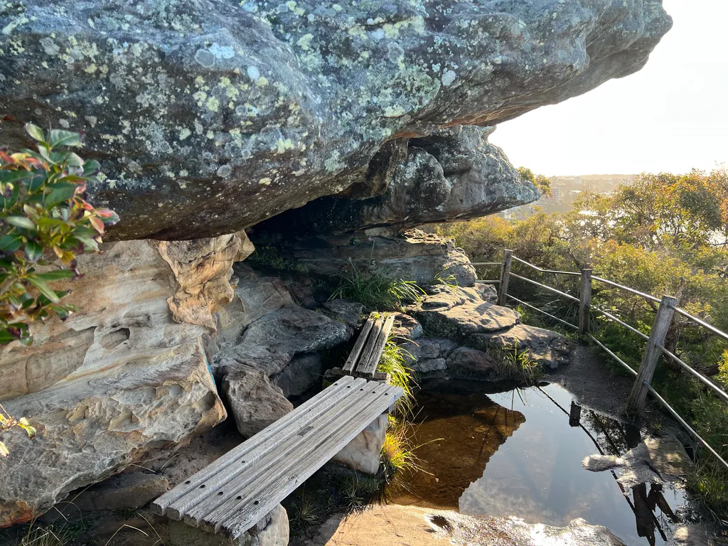 bushwalk
