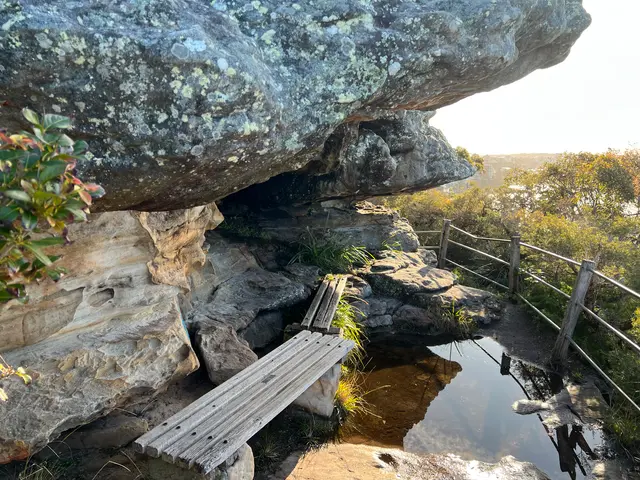 bushwalk