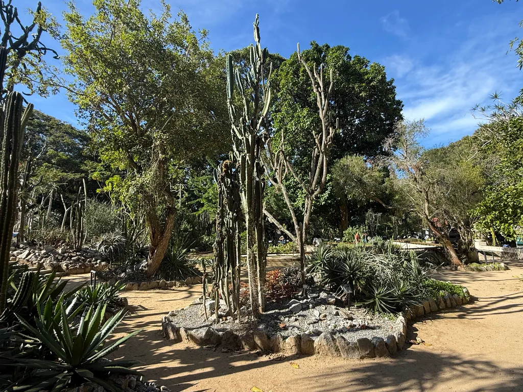 the Botanical Garden in Rio