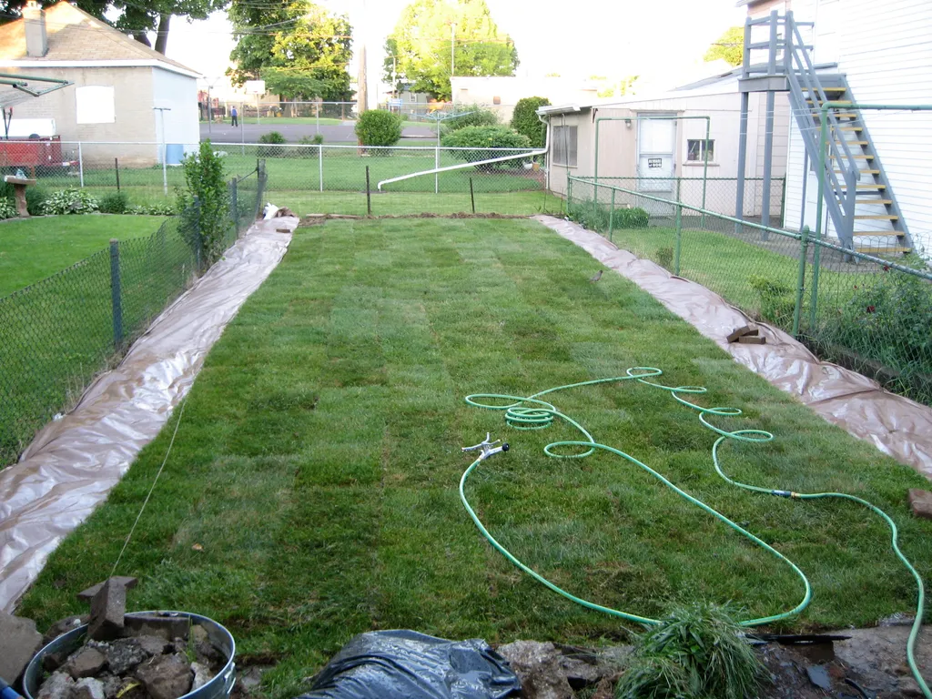 a lawn!