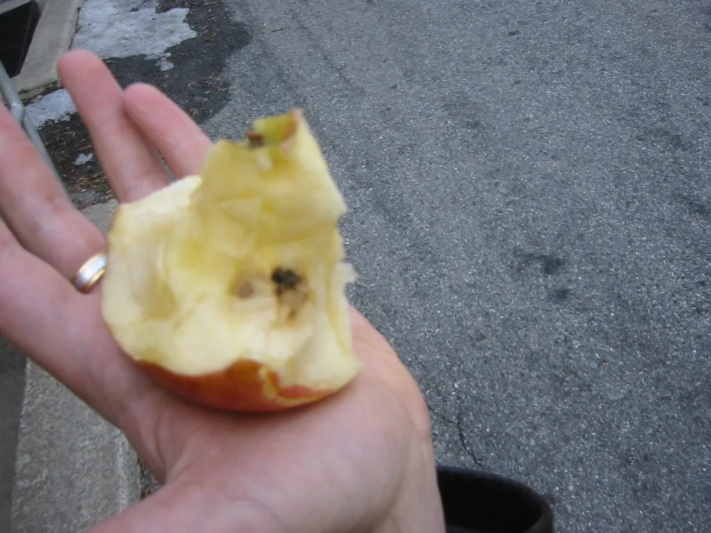 rotten apple