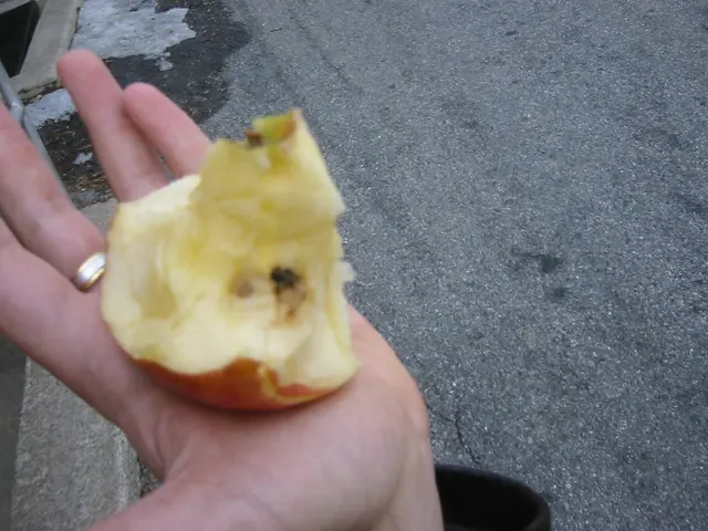 rotten apple