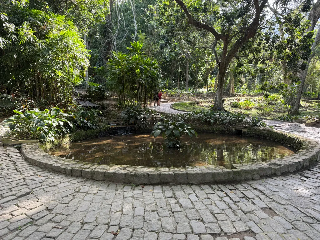 the Botanical Garden in Rio
