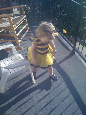 bee girl roaming the porch