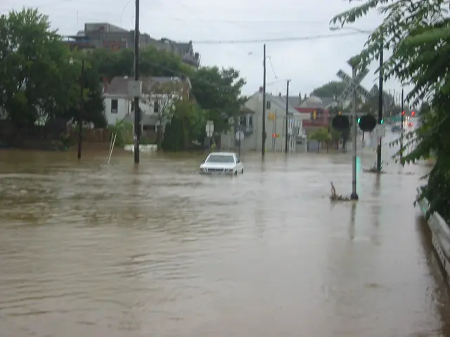 the flood, 2004, img_1816
