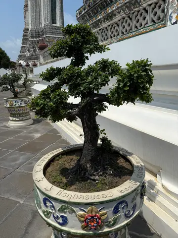 Bangkok walking tour