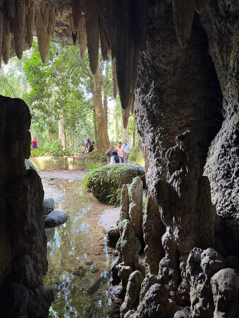Parque Lage