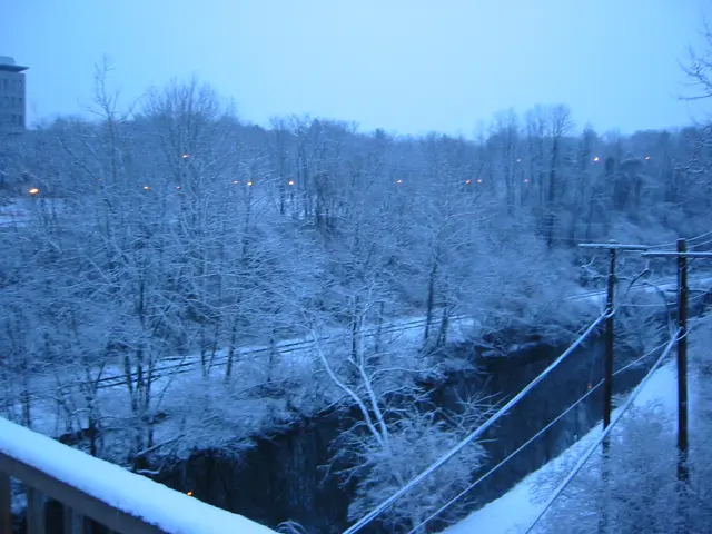 the towpath, east across the fahy, snowy