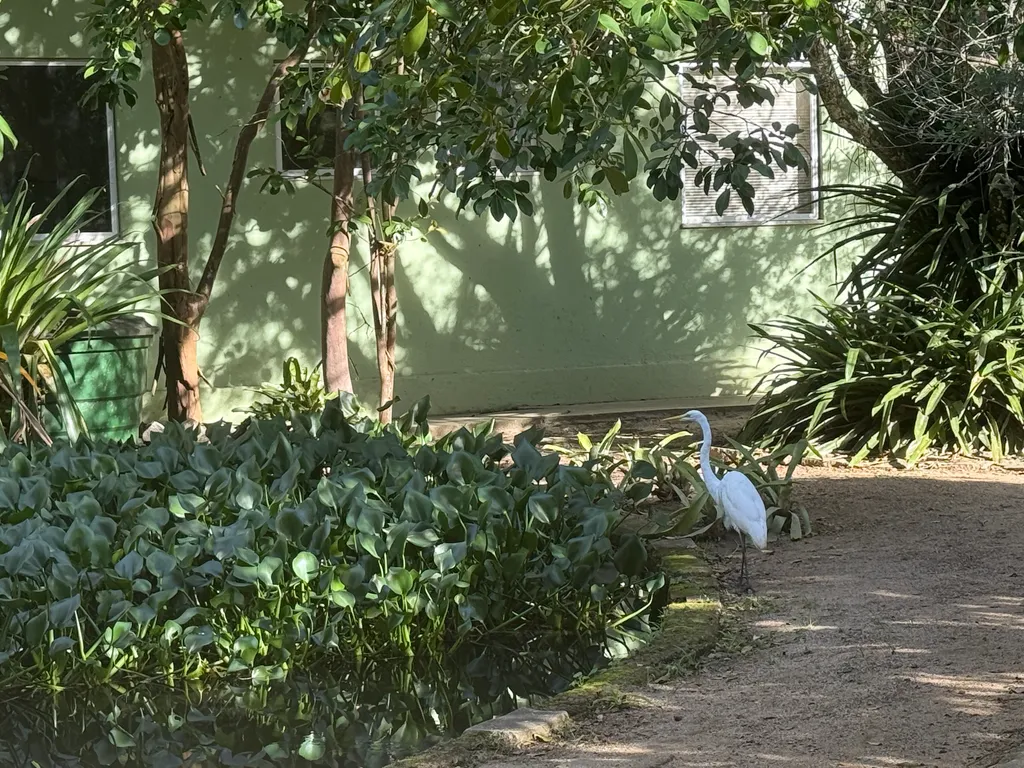 the Botanical Garden in Rio