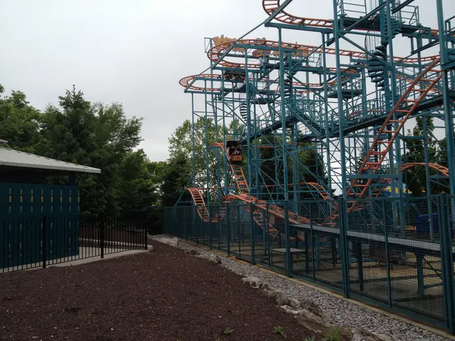The Wild Mouse