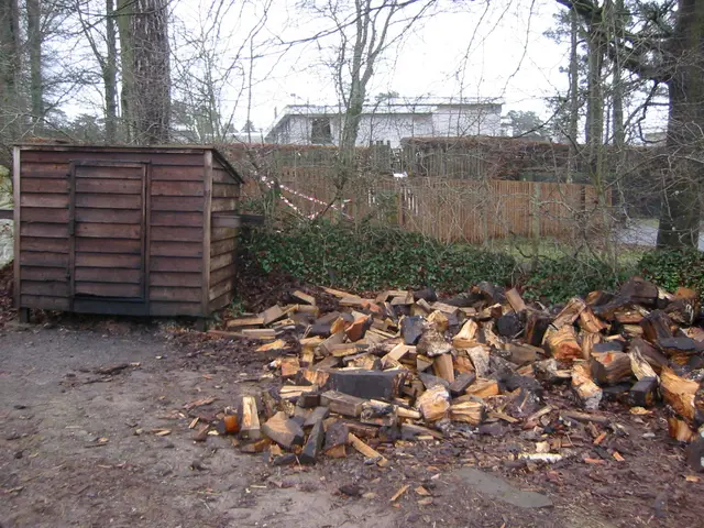 woodpile