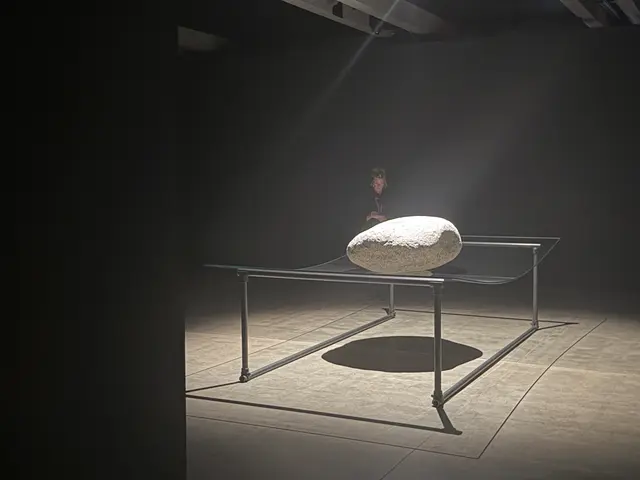 visiting MONA