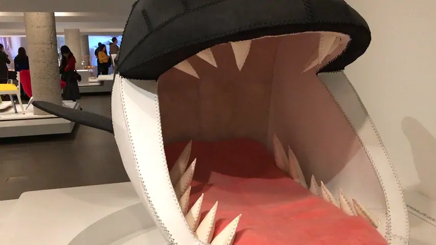 the shark!