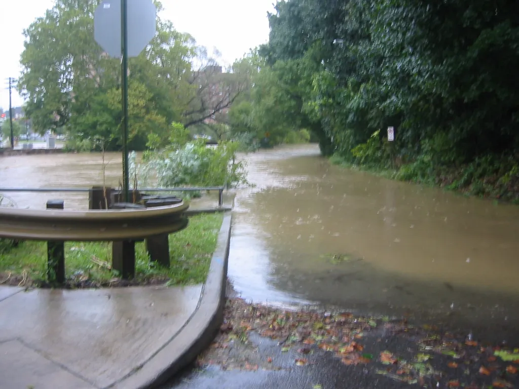 the flood, 2004, img_1819