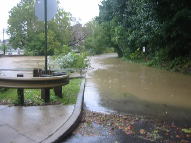 the flood, 2004, img_1819