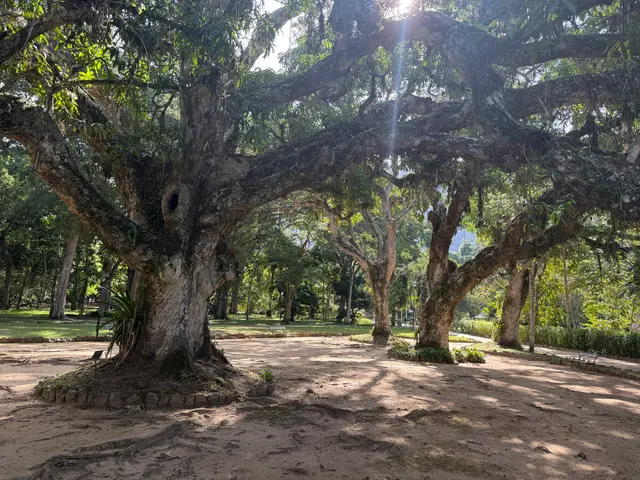 the Botanical Garden in Rio