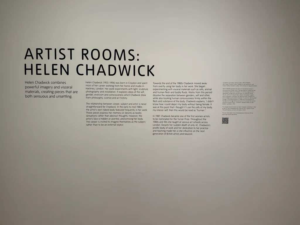 the Tate Modern