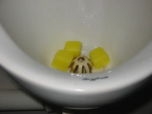 urinal cubes