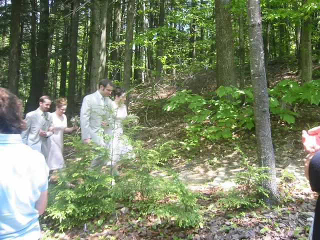 drew's wedding,2005, img_0060