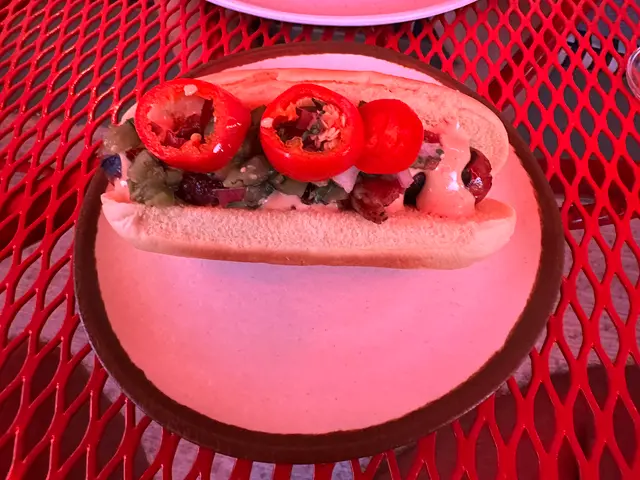 Tijuana street dog