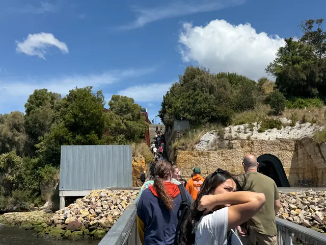 visiting MONA