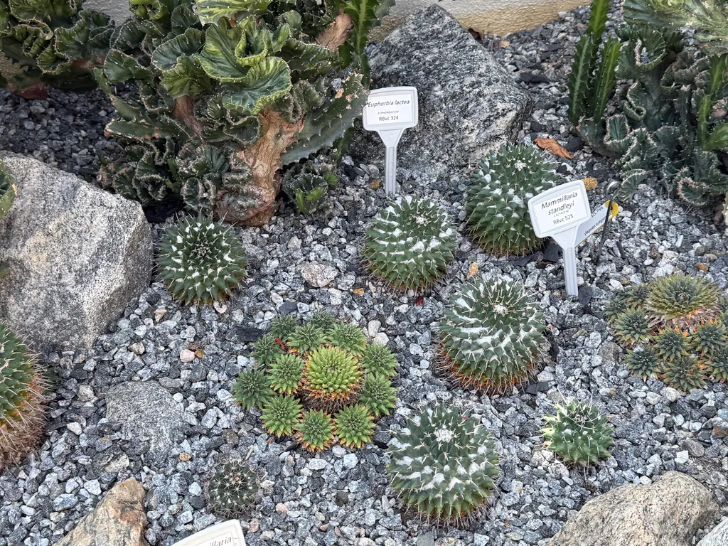 the Botanical Garden in Rio