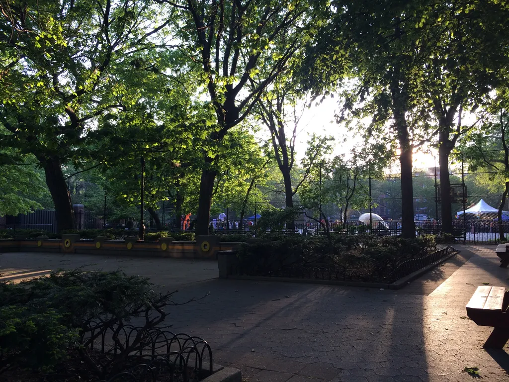 the park in early evening