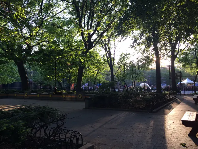 the park in early evening