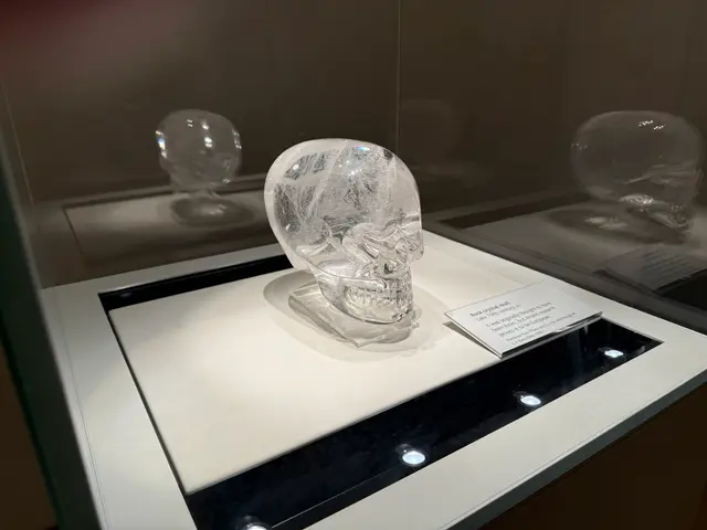 The British Museum