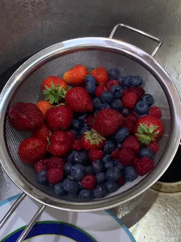 pavlova