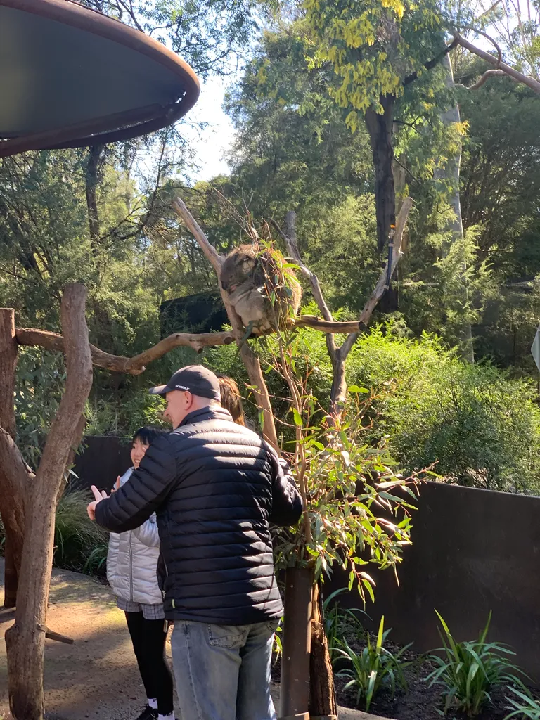 Healesville