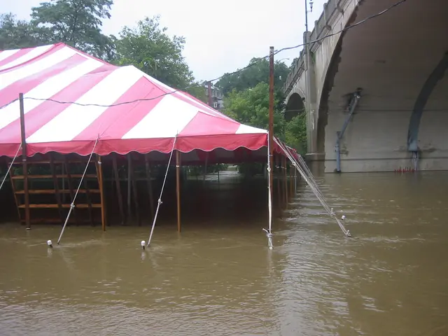 the flood, 2004, img_1830