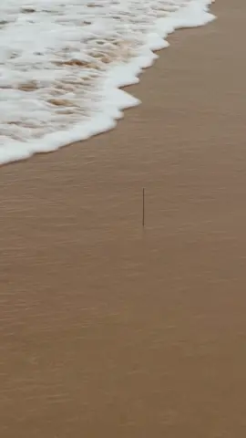 at Manly Beach