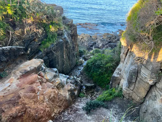 bushwalk
