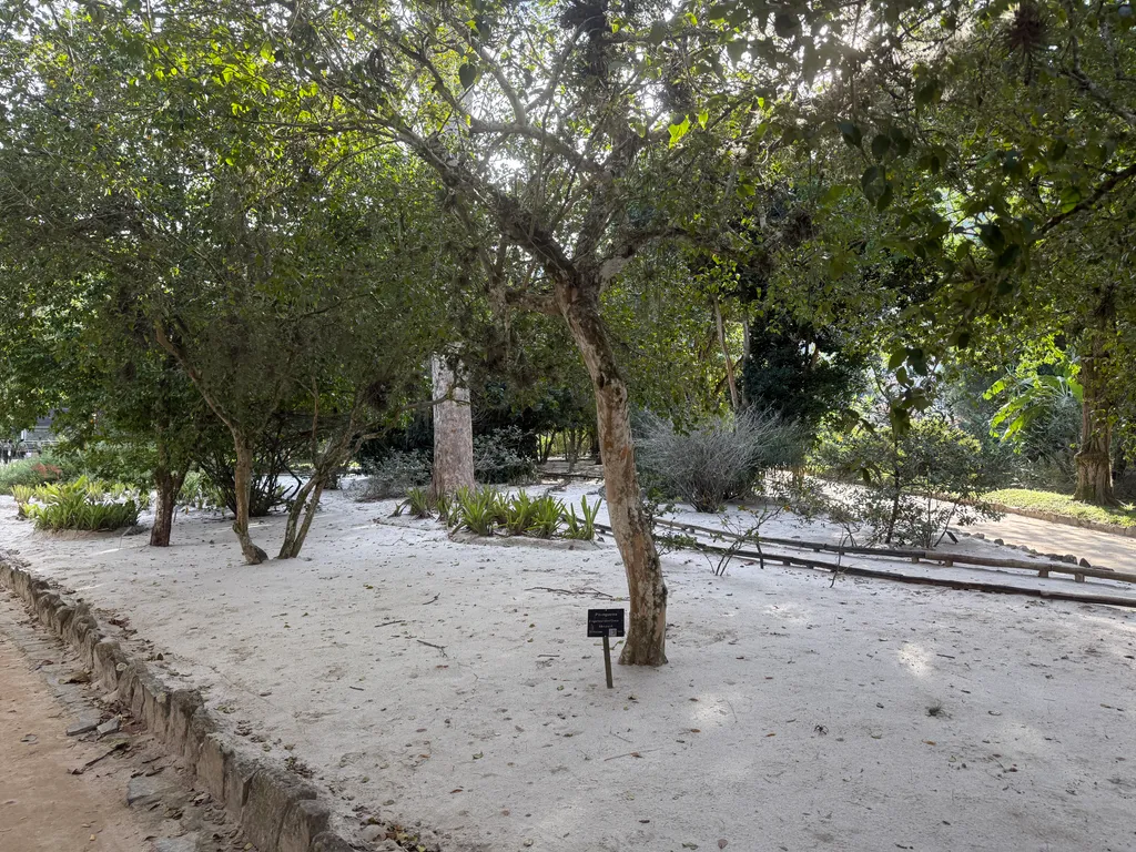 the Botanical Garden in Rio