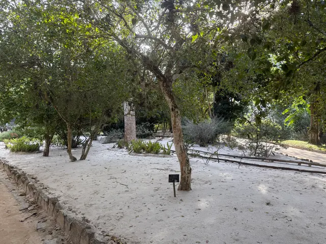 the Botanical Garden in Rio