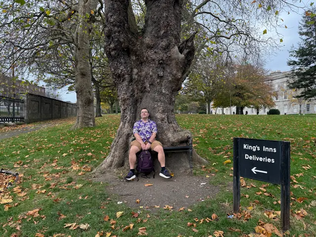 the hungry tree