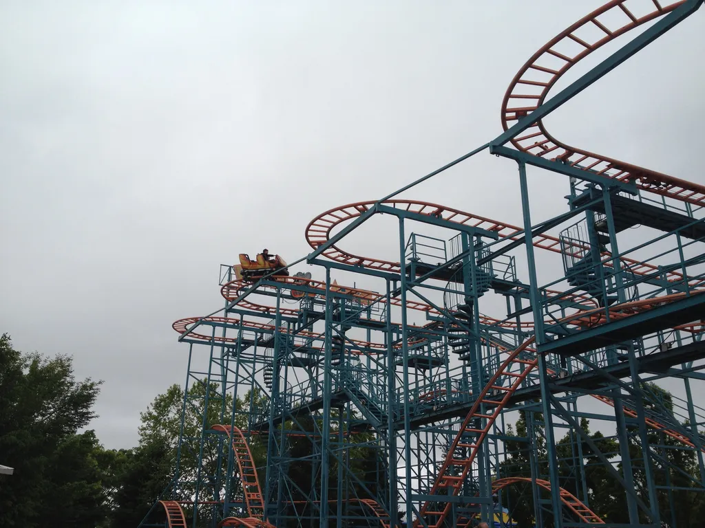 The Wild Mouse