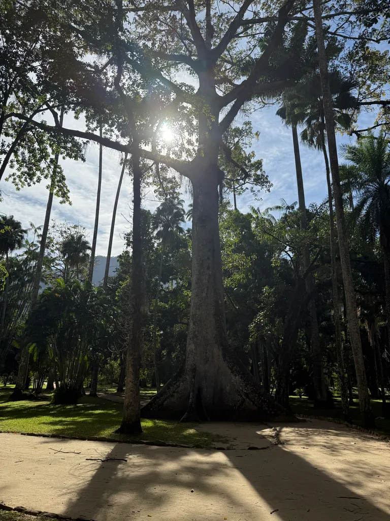 the Botanical Garden in Rio