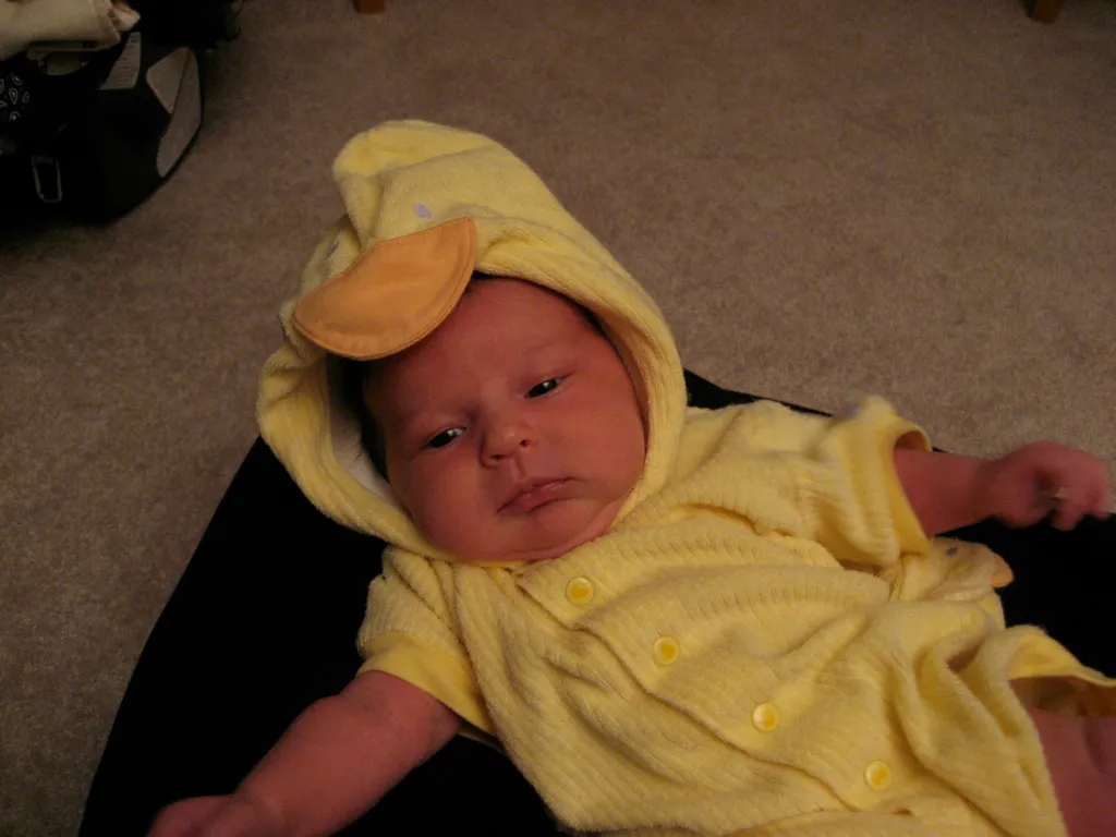 everything is just ducky!