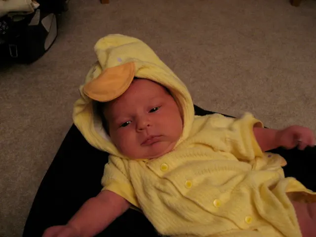everything is just ducky!