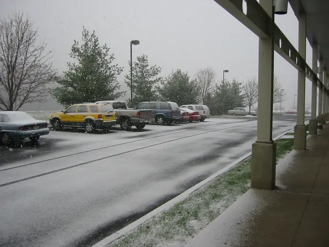 snowstorm, 2003-12, img_0984