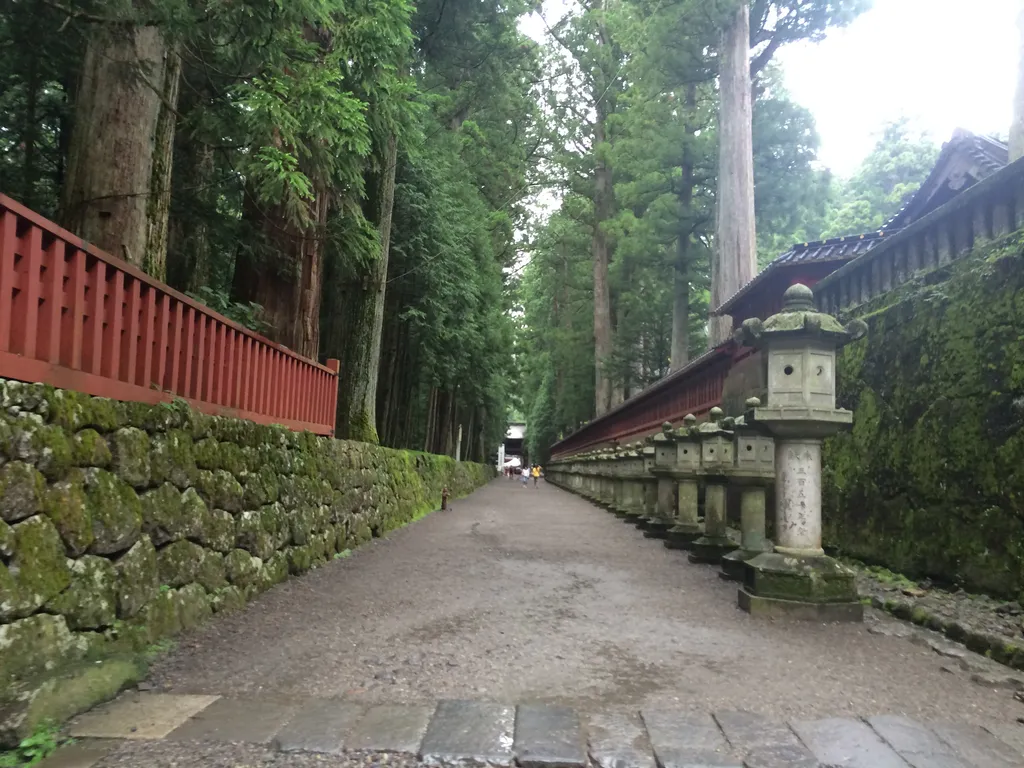 Nikko pathway