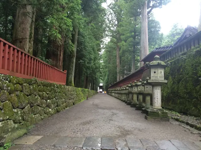 Nikko pathway