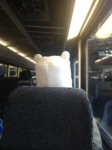 I sat behind Finn!!