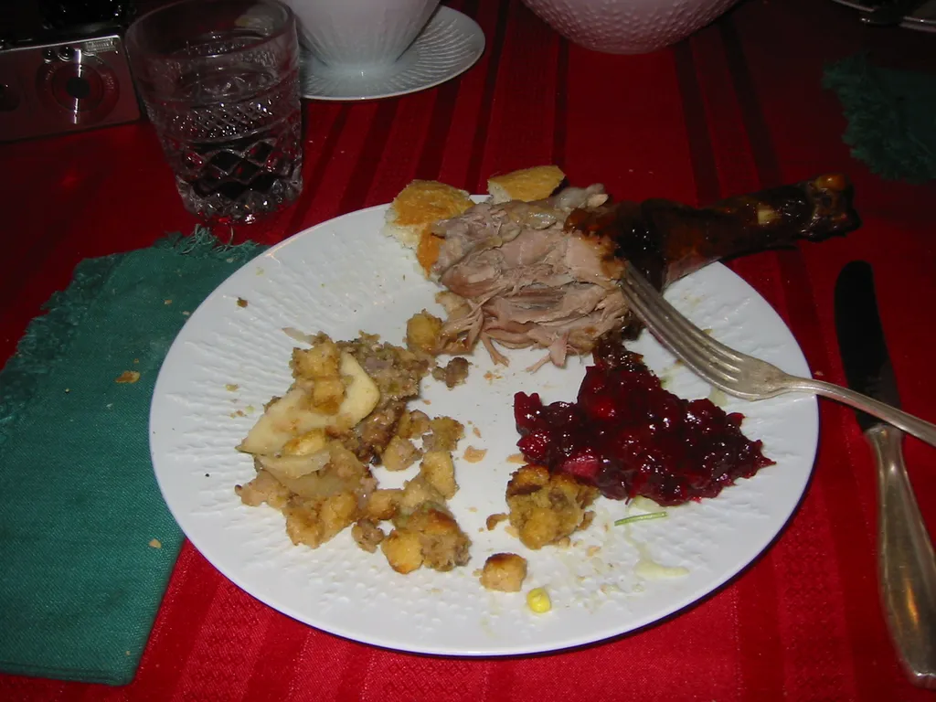 thanksgiving, 2003, My Dinner