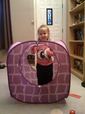 Martha's purple house