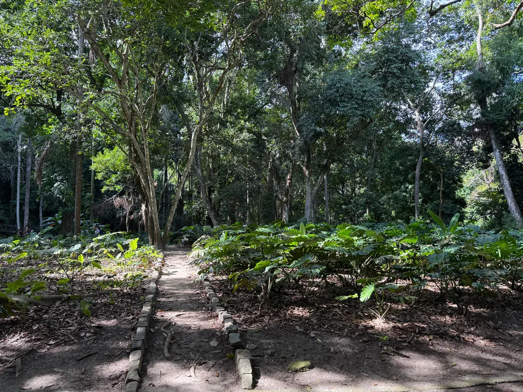 Parque Lage