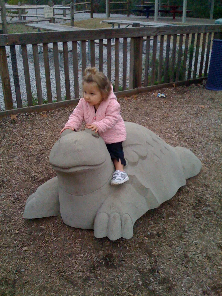 see the turtle of enormous girth