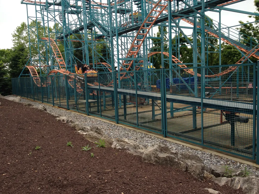 The Wild Mouse